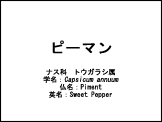 テンプレート11