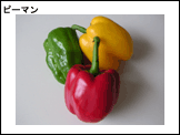 テンプレート3