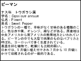 テンプレート7