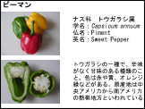 テンプレート8